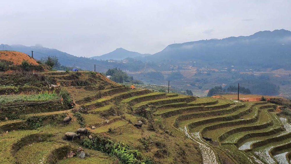 dia-diem-du-lich-noi-tieng-sapa