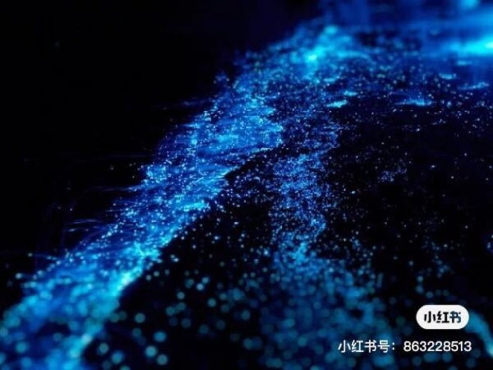 blue tears kuala selangor