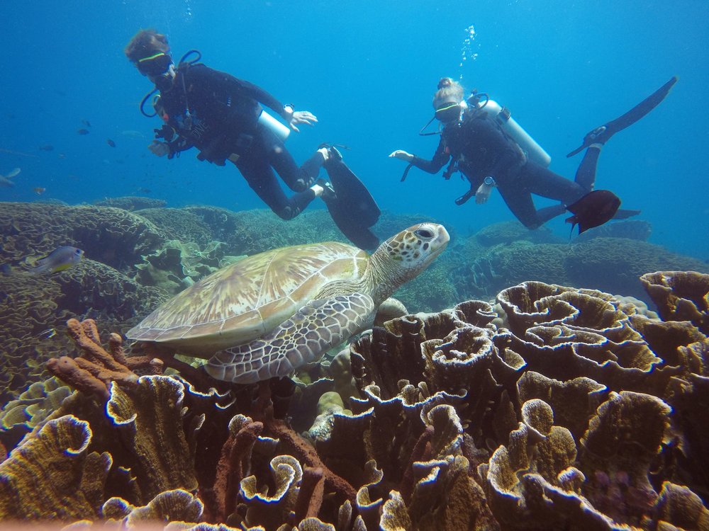 Scuba Diving di Taman Nasional Komodo