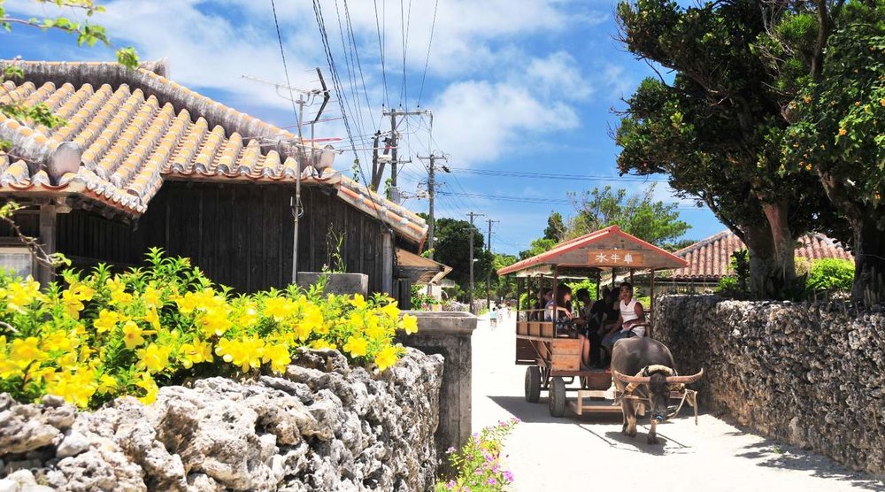 竹富島 水牛車ツアー