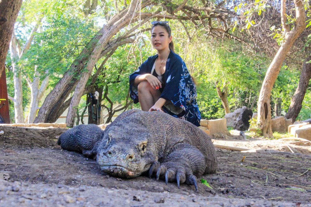 Komodo RInca Island