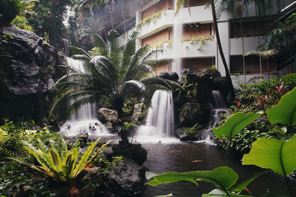 Grand Hyatt Singapore Hotel Staycation Review