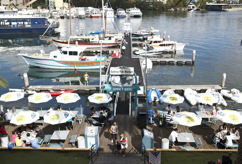 Image credits - Destination NSW