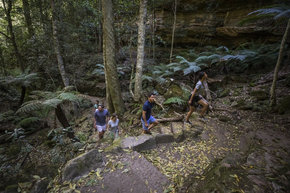 Image credits - Destination NSW