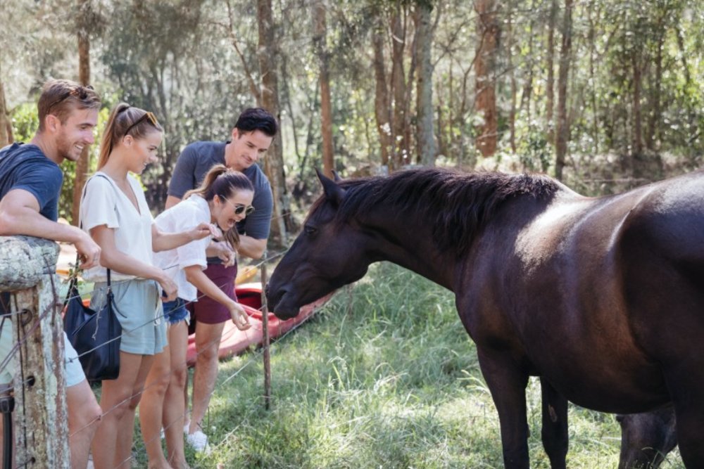 Image credits - Destination NSW