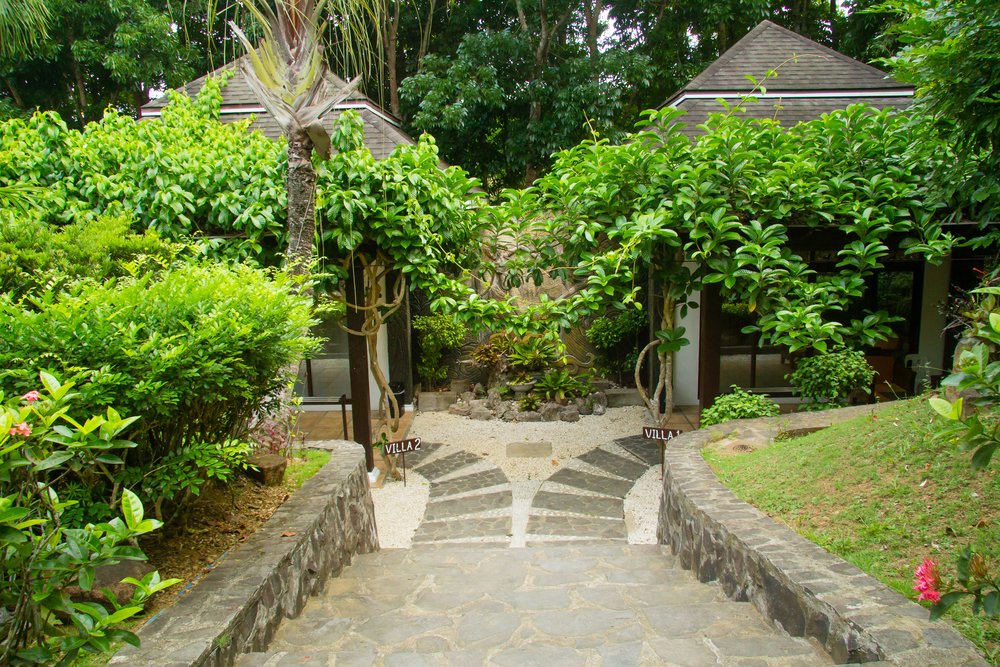 cintai cortios garden