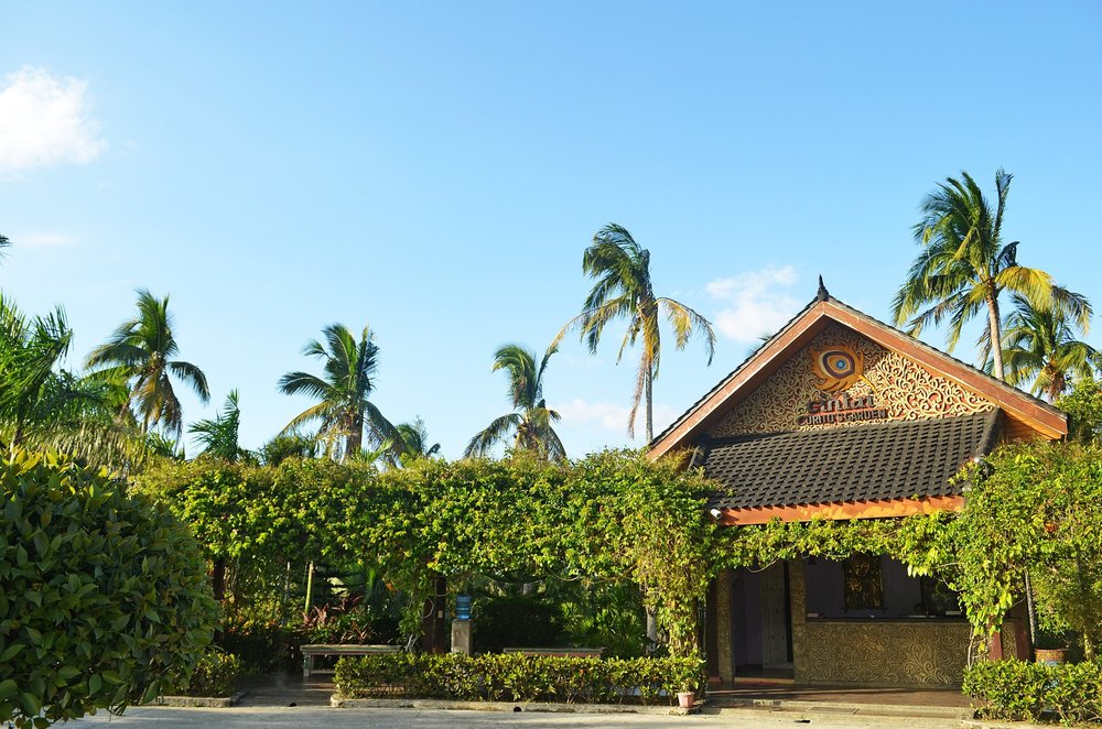 cintai coritos garden