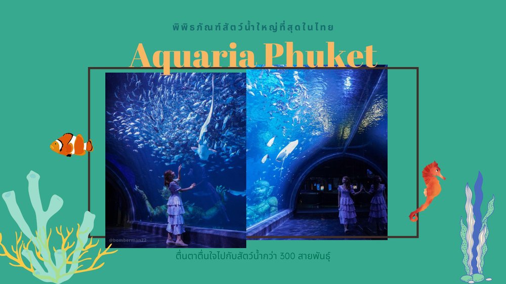 เที่ยวภูเก็ต อควาเรียภูเก็ต