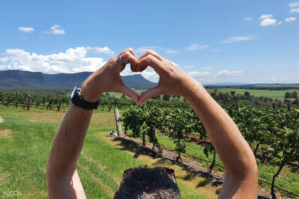 Half-Day Hunter Valley Wine Tasting Tour