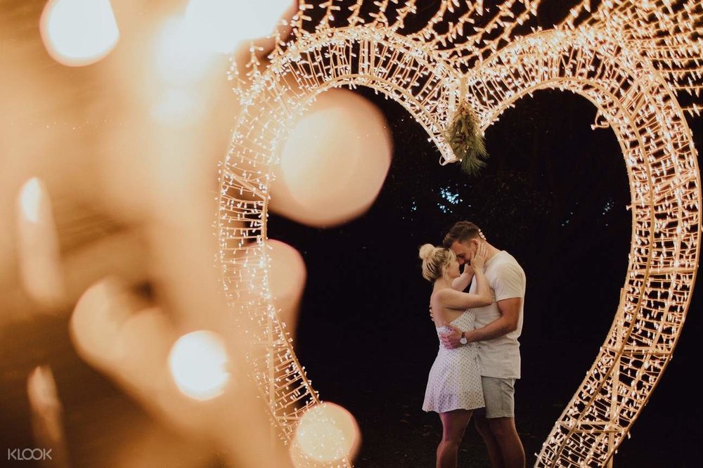 Hunter Valley Christmas Lights, Beer and Wine Tasting Tour from Hunter Valley or Sydney