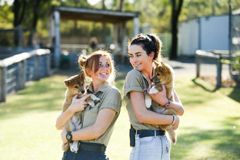 Hunter Valley Zoo and Wine Tasting Tour