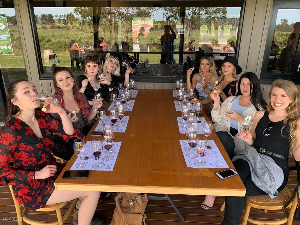 Hunter Valley Wine and Gin Tasting Tour from Sydney, Hunter Valley or Newcastle