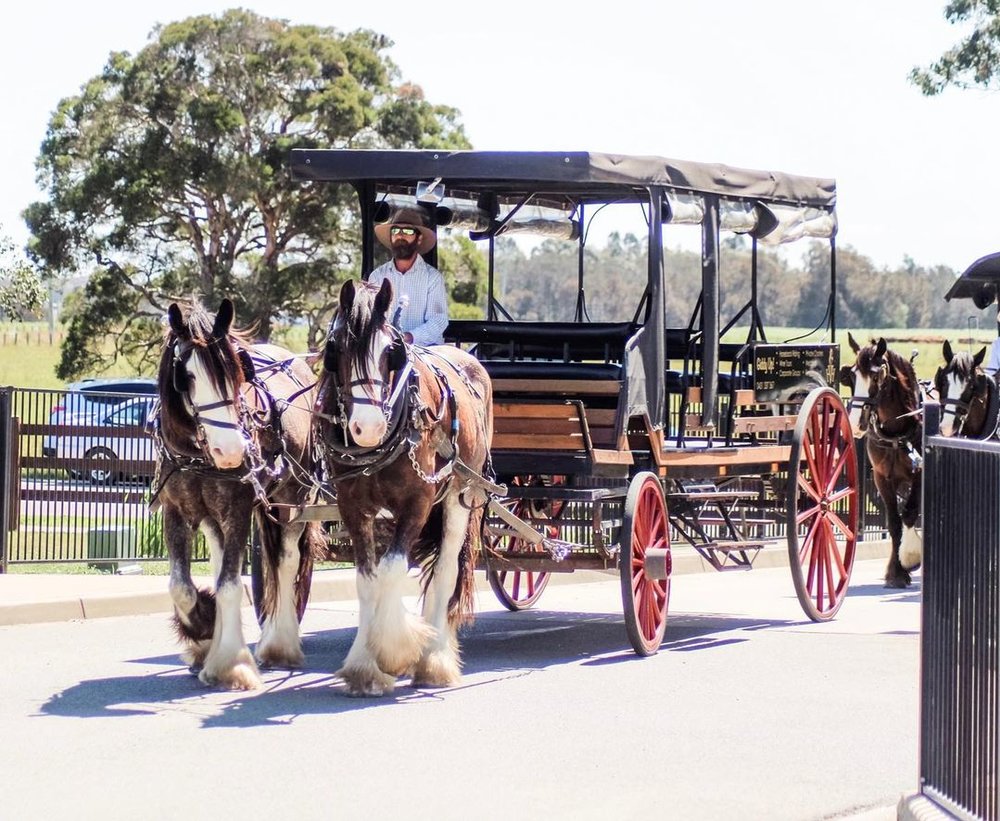 Private Horse and Carriage Wine Tour