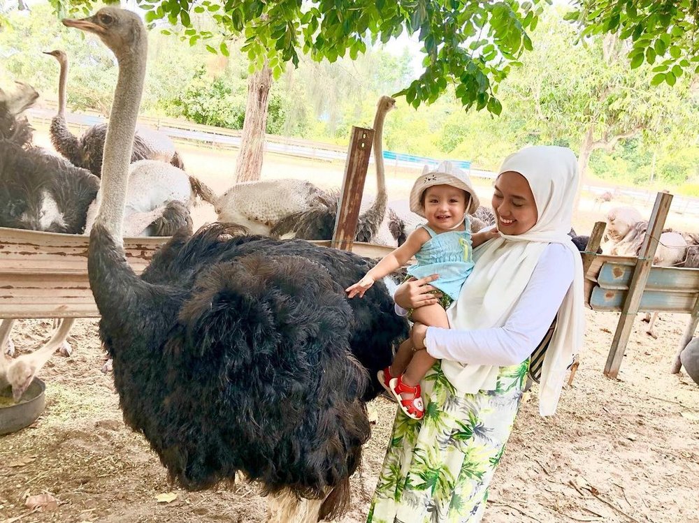 desaru ostrich farm johor