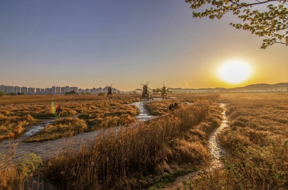 sorae ecology park incheon