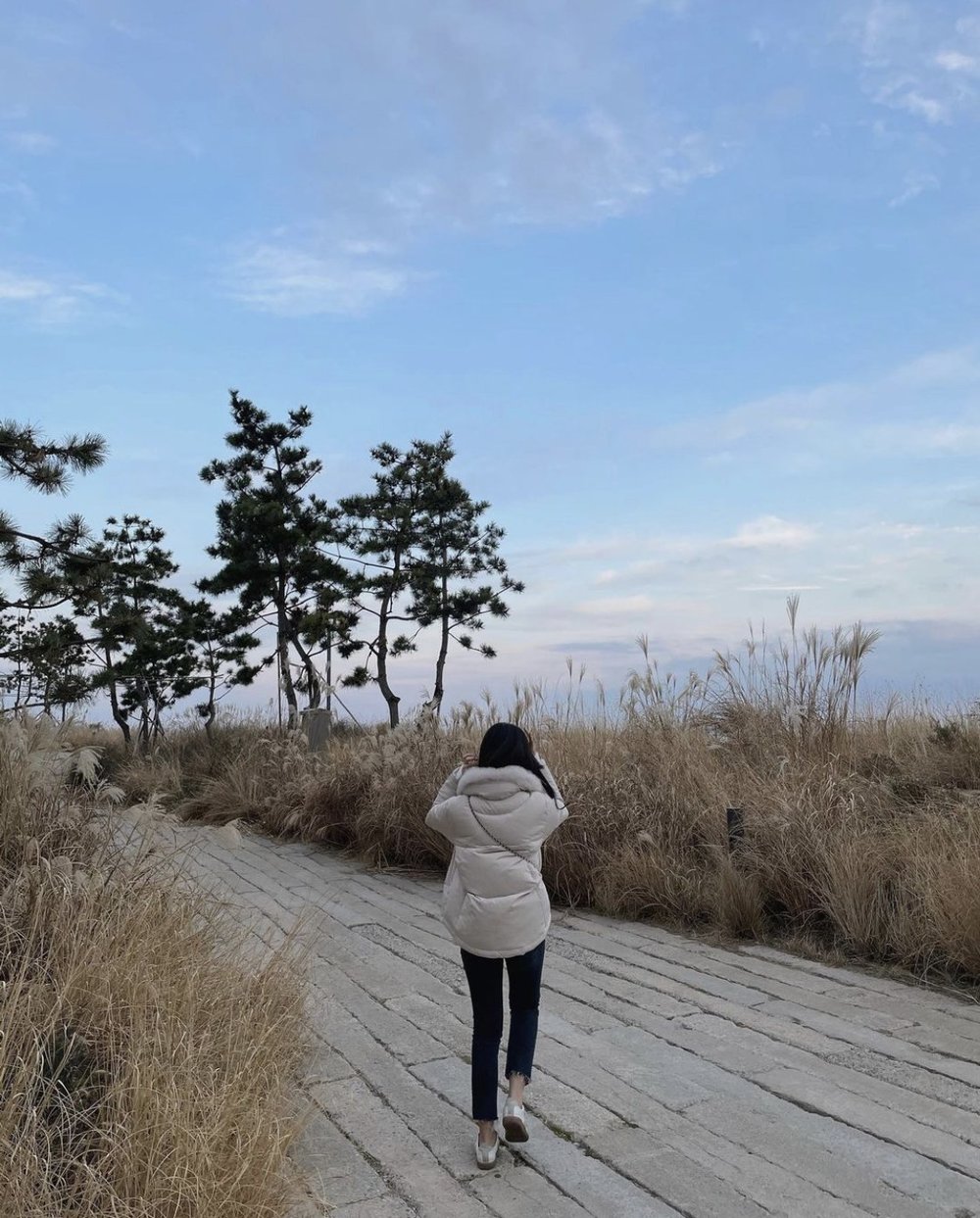 the nest hotel best hotel incheon south korea