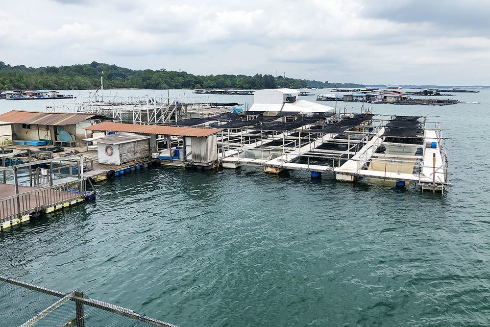 SG Smith Marina Fish Farm