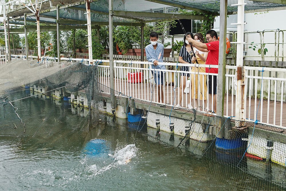 SG Smith Marine Catch Your Own Fish