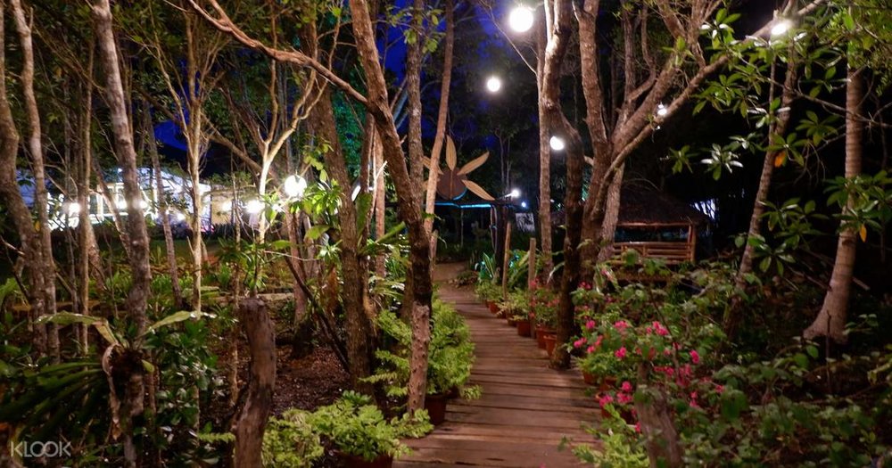 fireflies puerto princesa