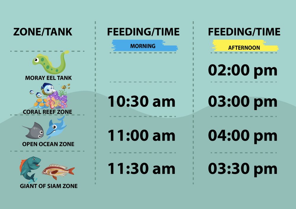 รอบการแสดงของอันเดอร์วอเตอร์เวิลด์พัทยา