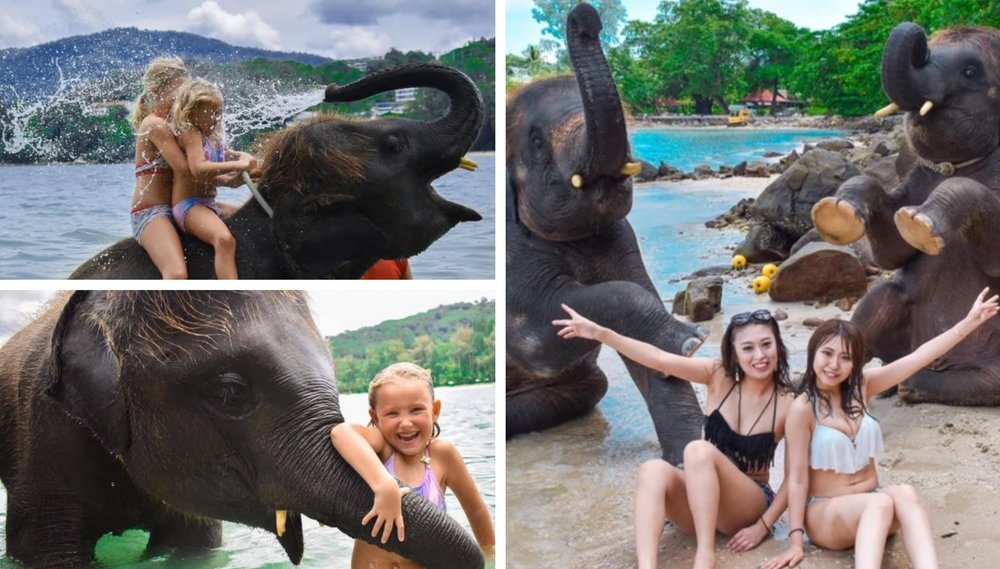เล่นน้ำกับช้างที่ Lucky Beach Phuket