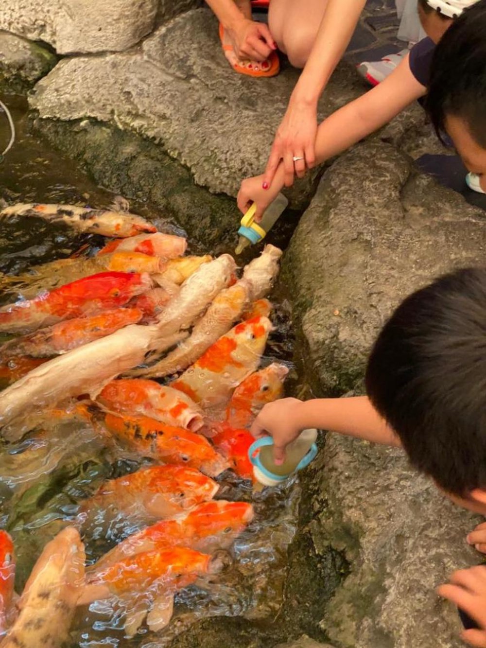 รีวิว อันเดอร์วอเตอร์เวิลด์ พัทยา