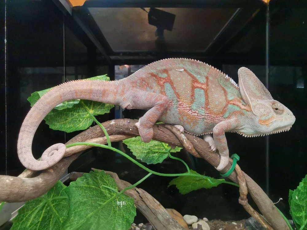 รีวิว underwater world ที่เที่ยวพัทยา