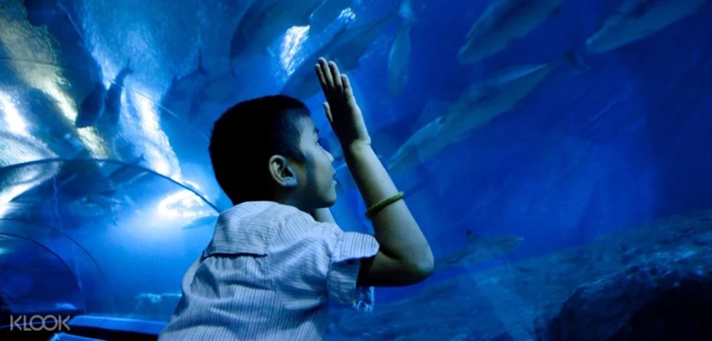 อุโมงค์ปลา underwater world pattaya