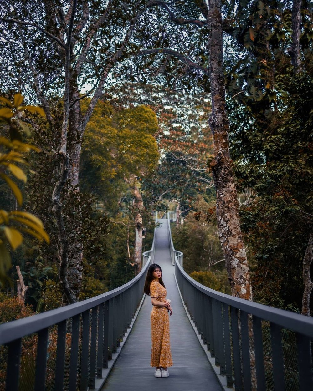 best thing to do in penang habitat Penang hill