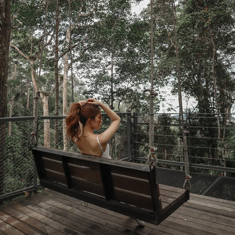 what to do in penang habitat Penang hill