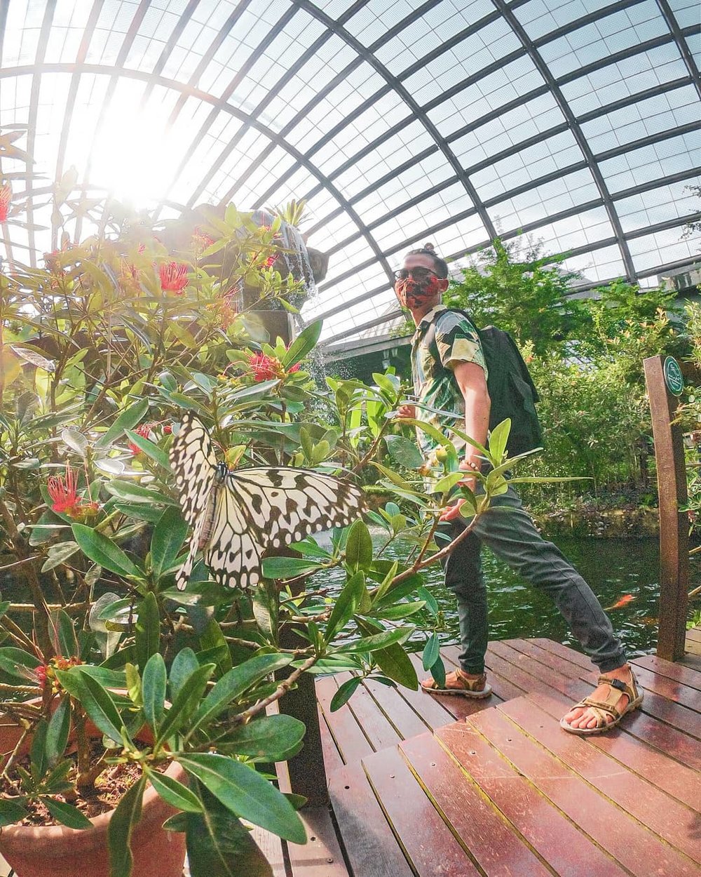 best thing to do in penang Entopia butterfly farm