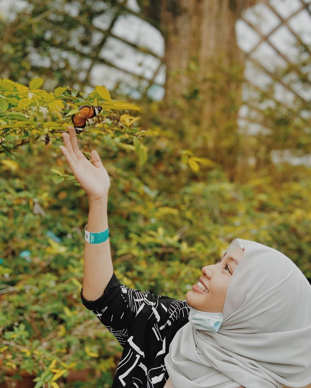 what to do in penang Entopia butterfly farm
