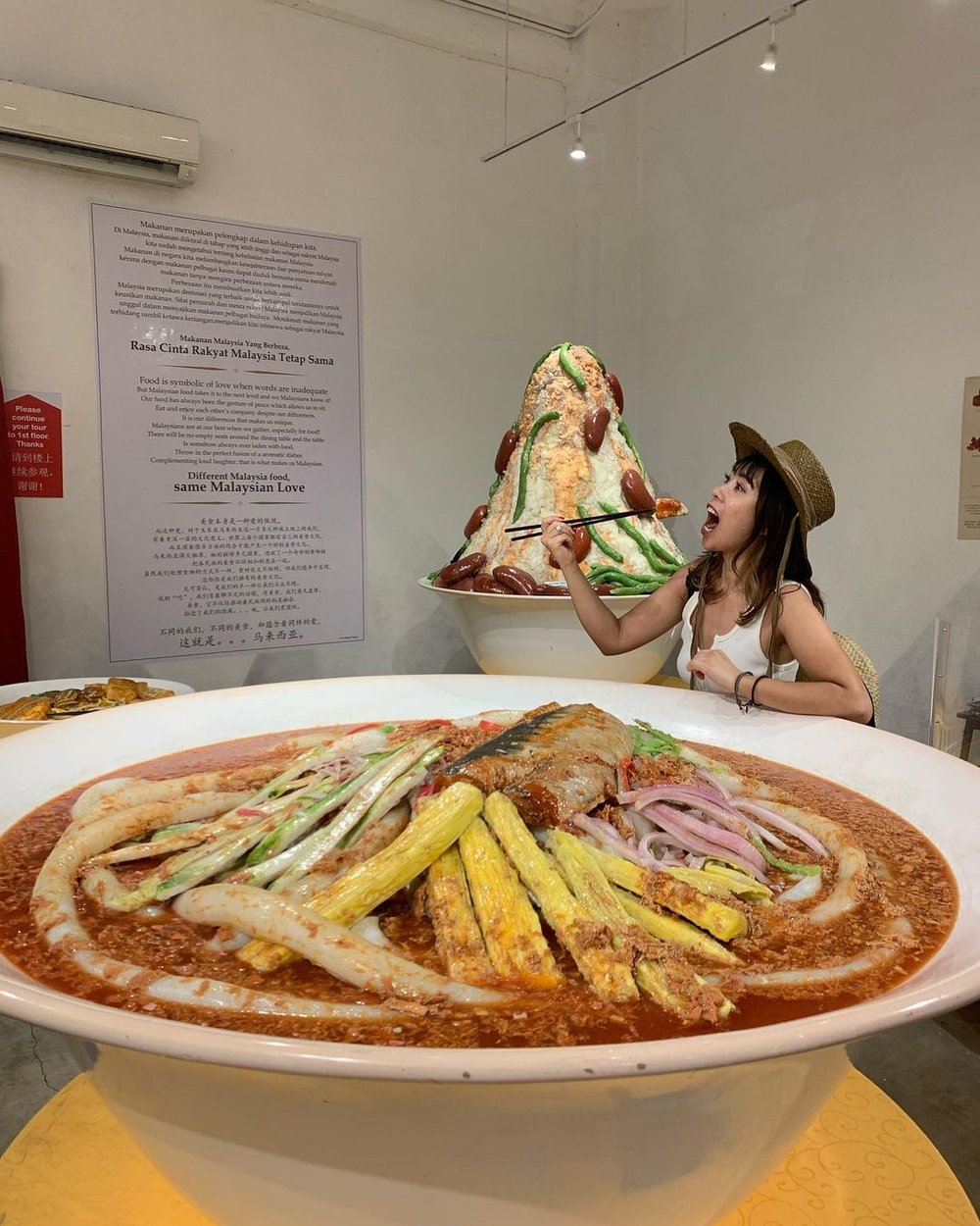 best thing to do in penang wonderfood museum