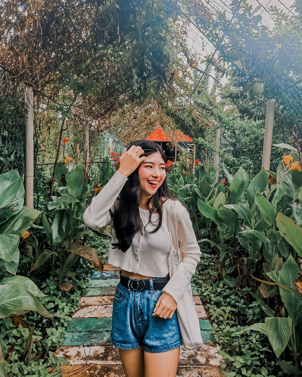 best thing to do in penang Audi dream farm