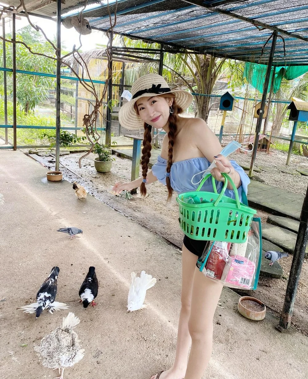 what to do in penang Audi dream farm