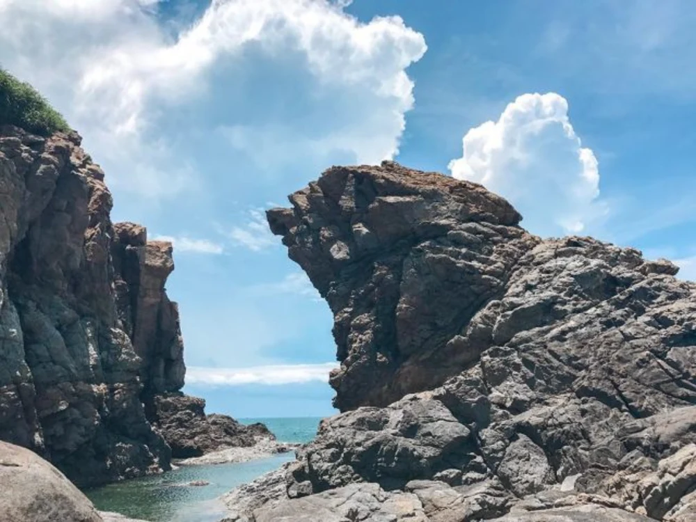 mui-nghe-son-tra-da-nang