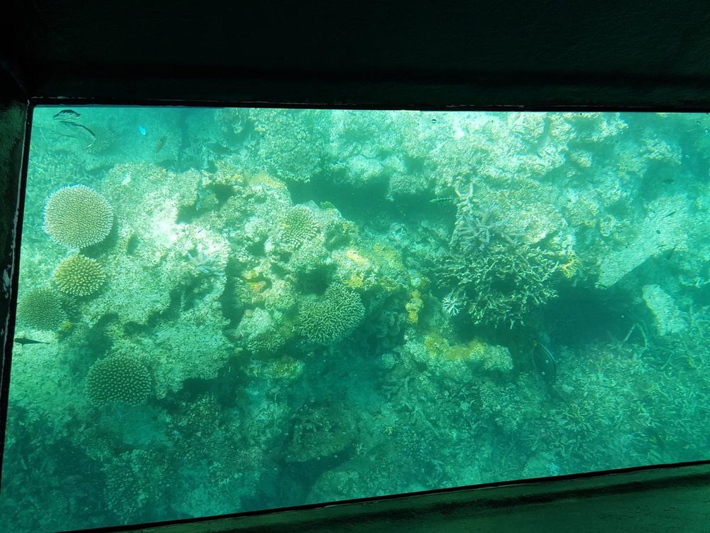 竹富島 グラスボート遊覧