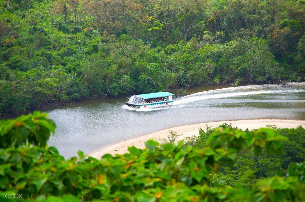 西表島 クルーズ