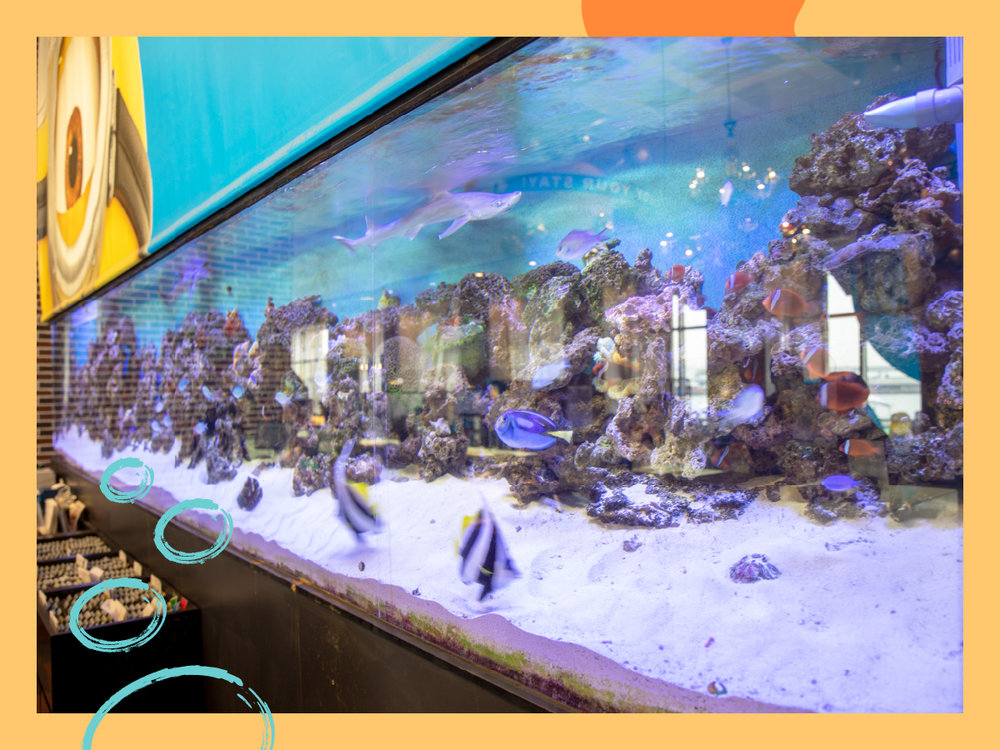 ユニバーサルポート 水槽