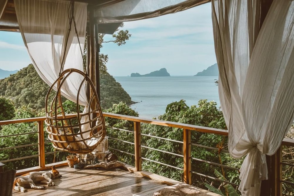 birdhoue el nido