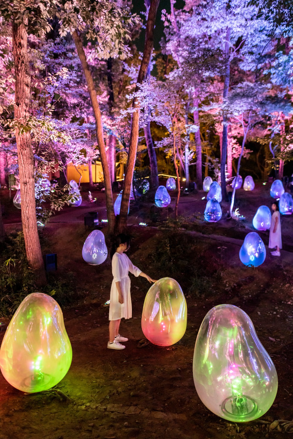 チームラボ どんぐりの森の呼応する生命