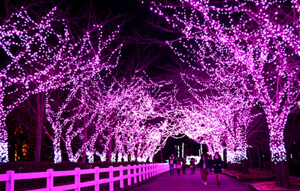 東武動物公園 ウインターイルミネーション