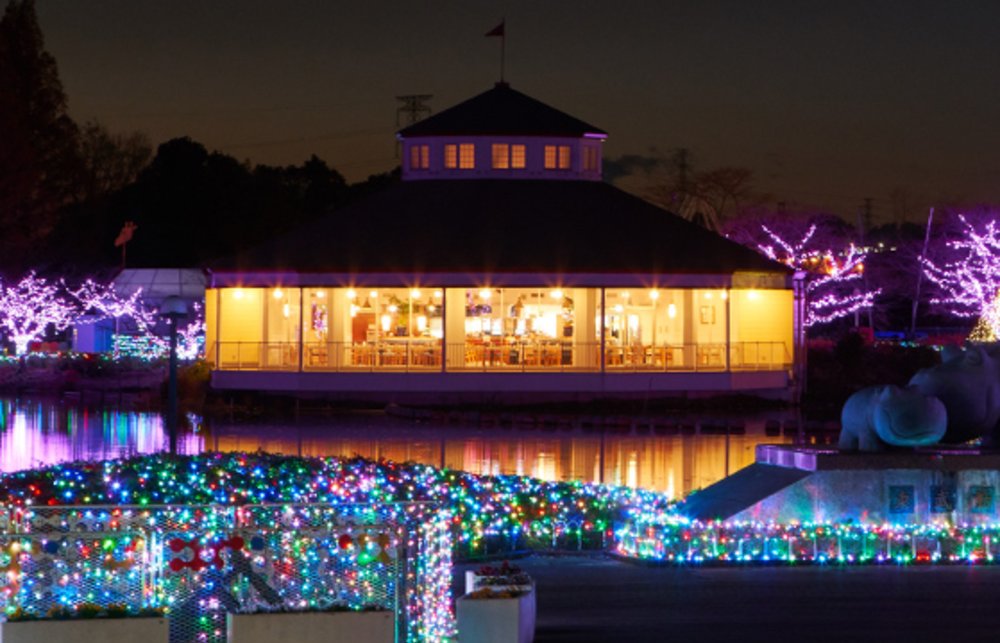 東武動物公園 ウインターイルミネーション 桜