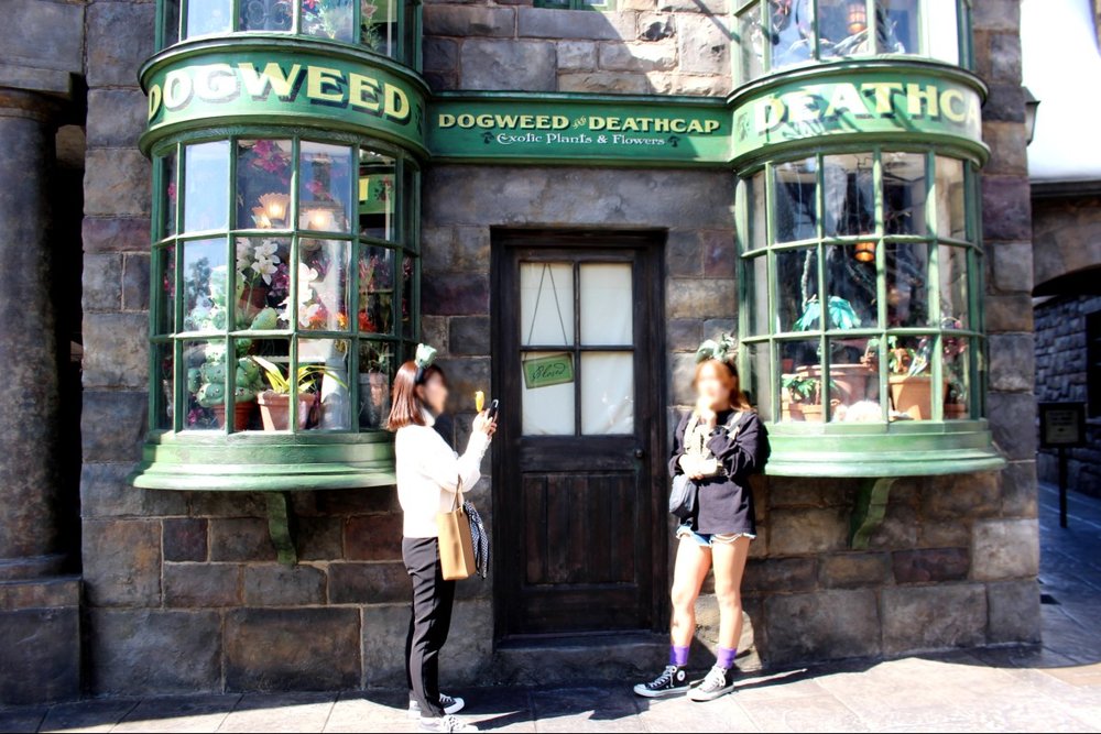 ハリーポッターエリア フォトスポット