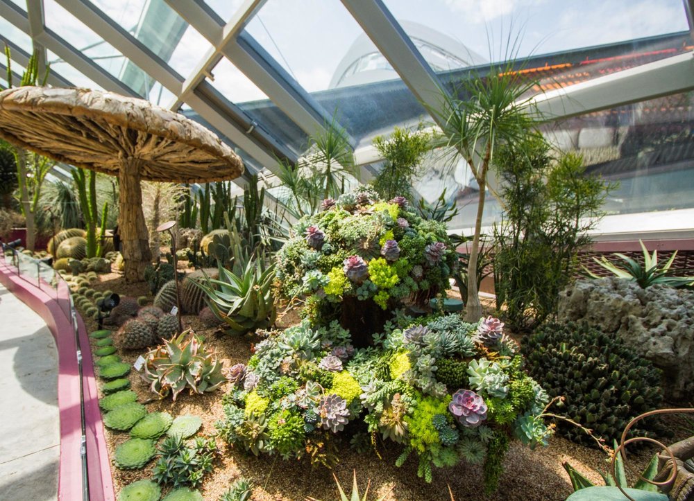 gardens by the bay flower dome