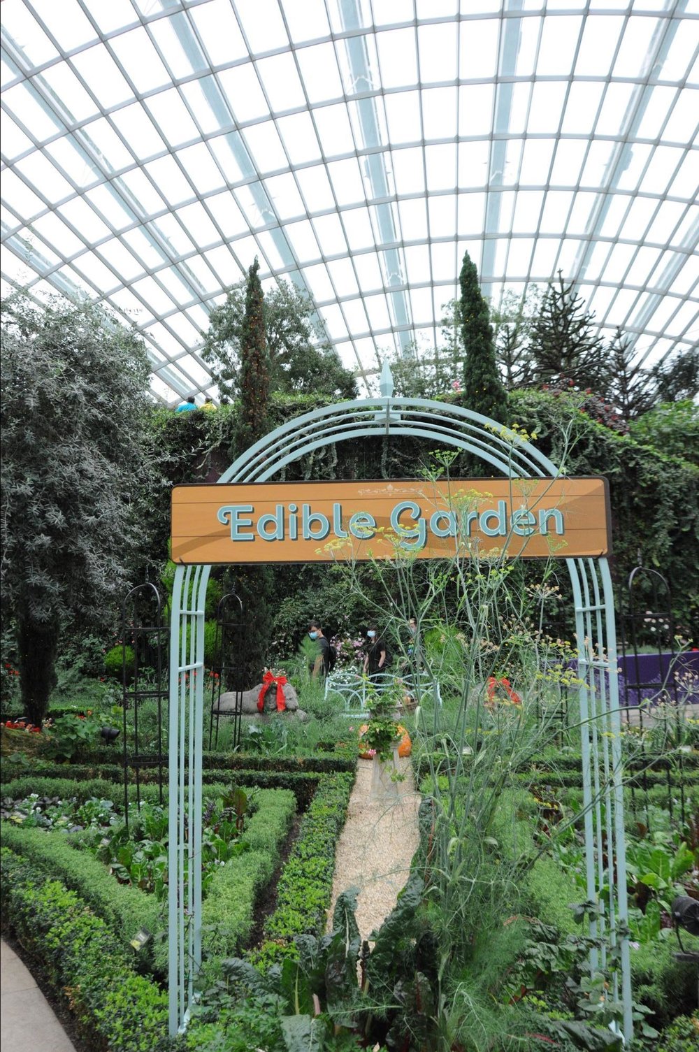 gardens by the bay edible garden