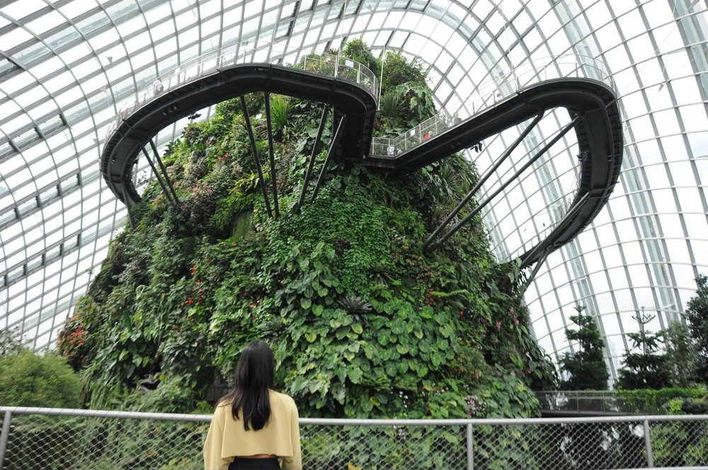 gardens by the bay cloud forest