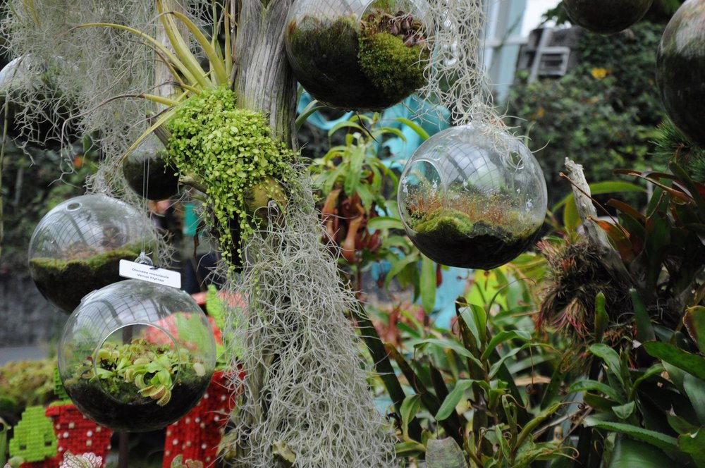 gardens by the bay cloud forest