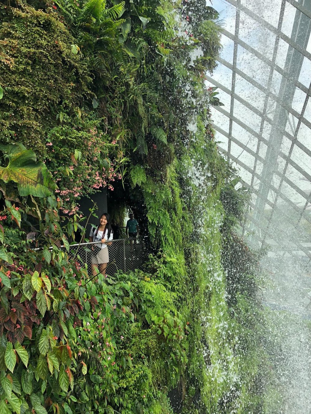 gardens by the bay cloud forest