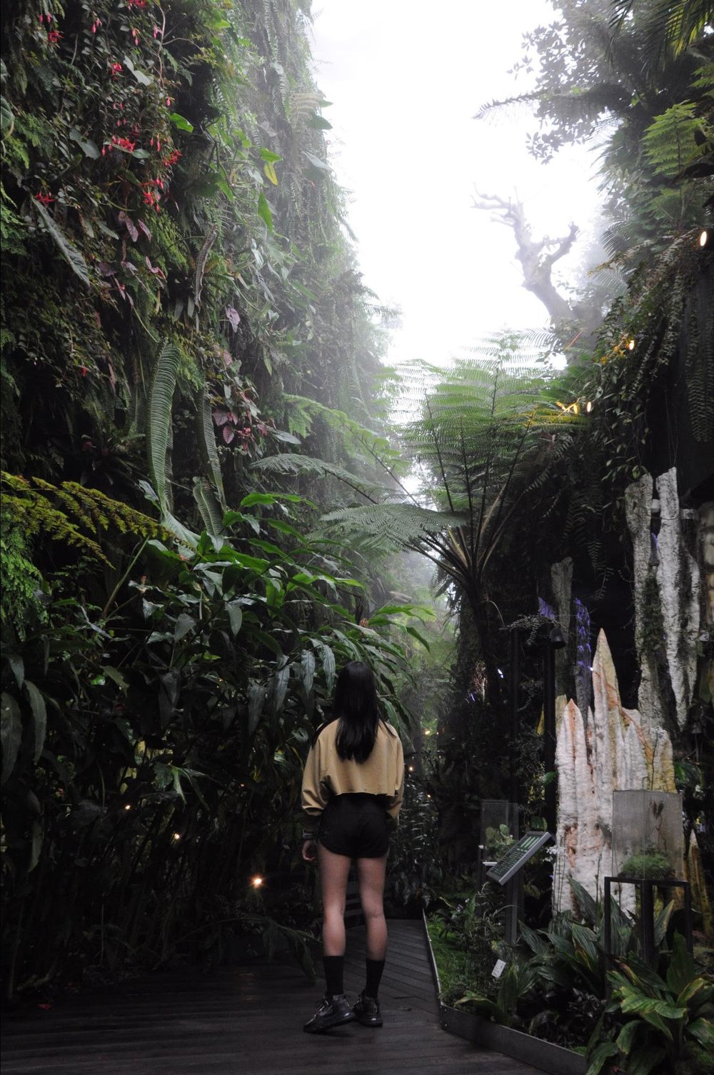 gardens by the bay cloud forest